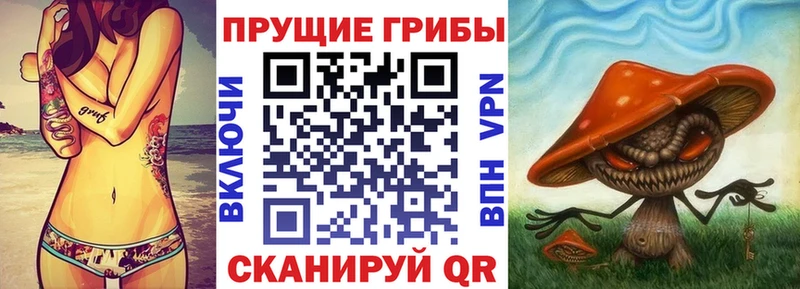 Псилоцибиновые грибы Cubensis  Купить  Рассказово 